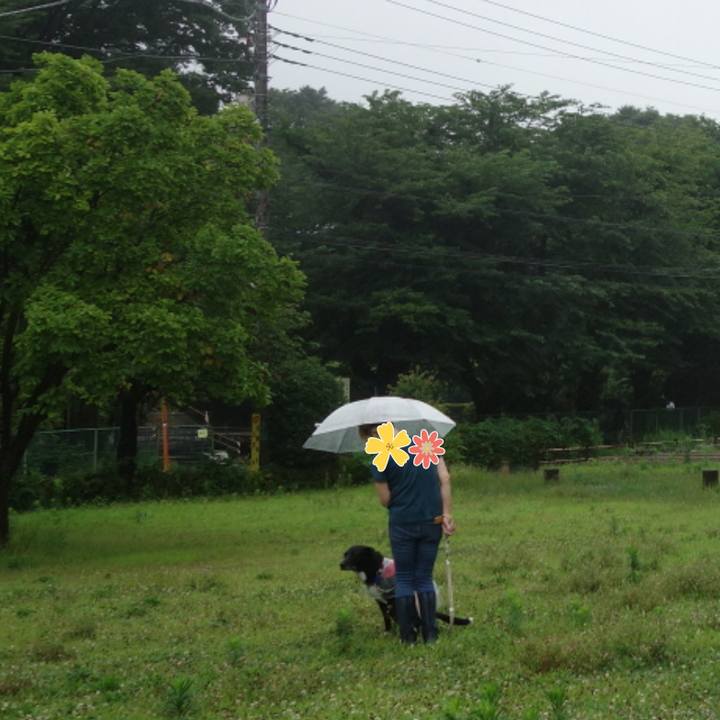 0302941c 803d 4a7b b148 0fd7d3aad944 1657843580754