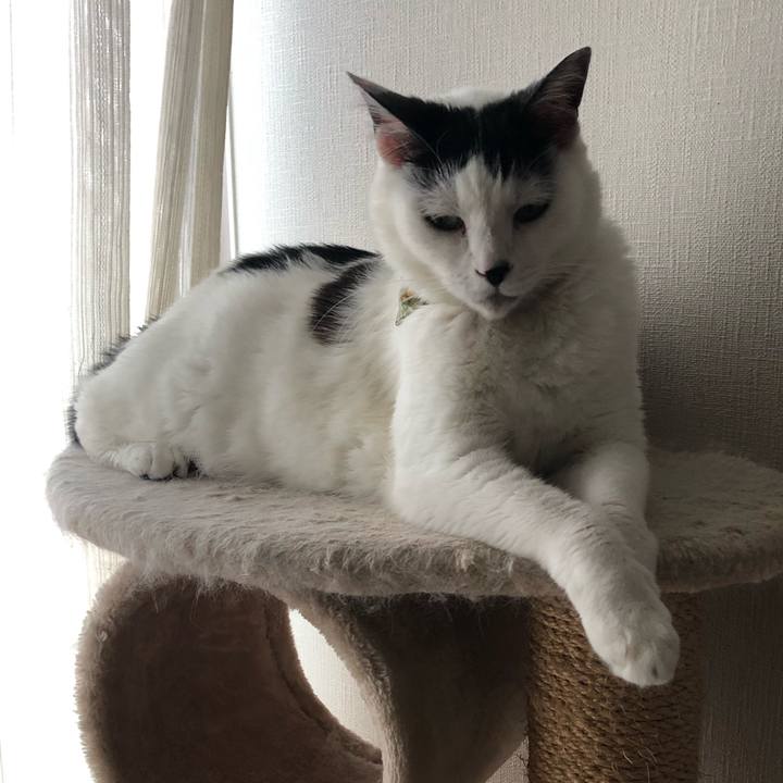 0302a545 1146 4d24 a9f8 4a1d1f10d6e2 1561771639439