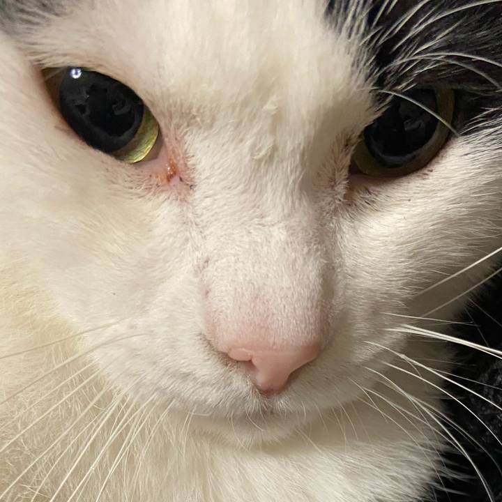 0302ae6d dcd1 4642 8002 e1824516dcc6 1581507570724