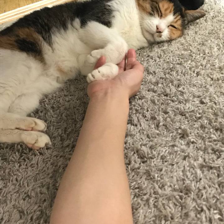 0302b302 f694 4146 bdc0 2def381b74d8 1531096089473