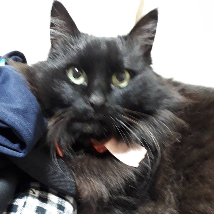 030314be befc 48af 958b e7c23262af11 1521228989448