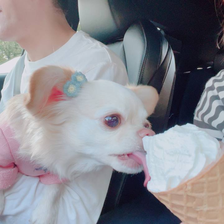 030317b1 59b7 49a3 aa0b d77e0a26531c 1700395722572