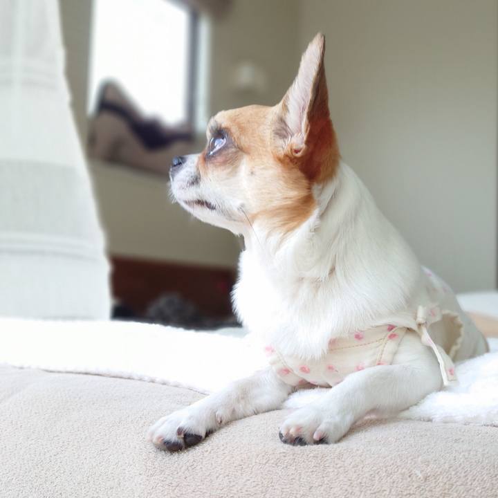 03032c84 8008 4be5 99c4 bc9faf49cd1f 1656123733543