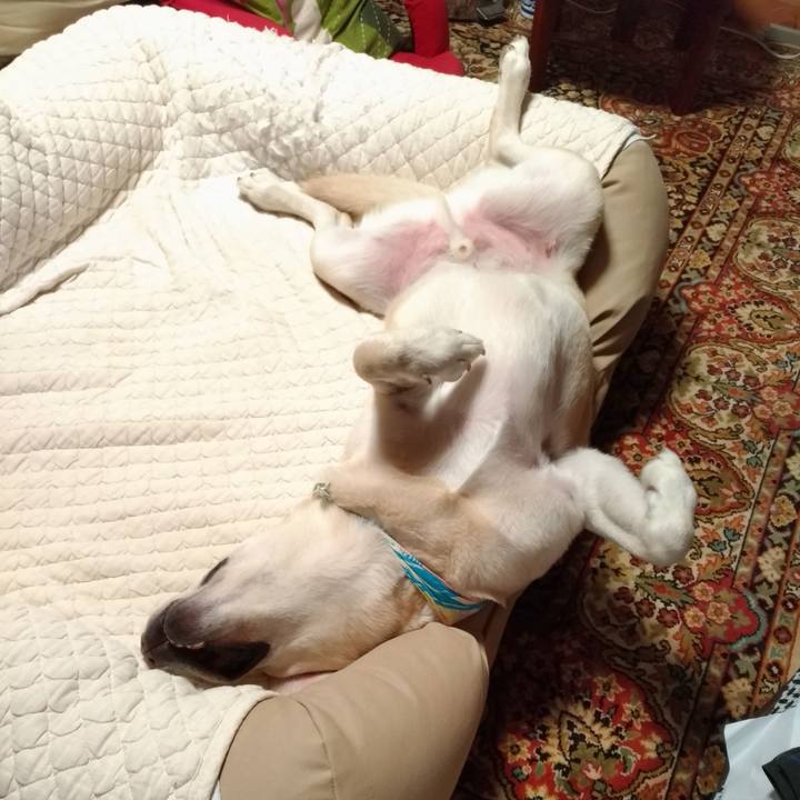 03033085 b63d 48ec b6bf c1266ea5f3ab 1629912683503