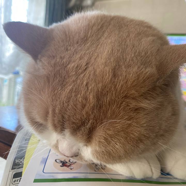 030345c7 43ef 4118 9ffc 344fd2f96db2 1657064945398