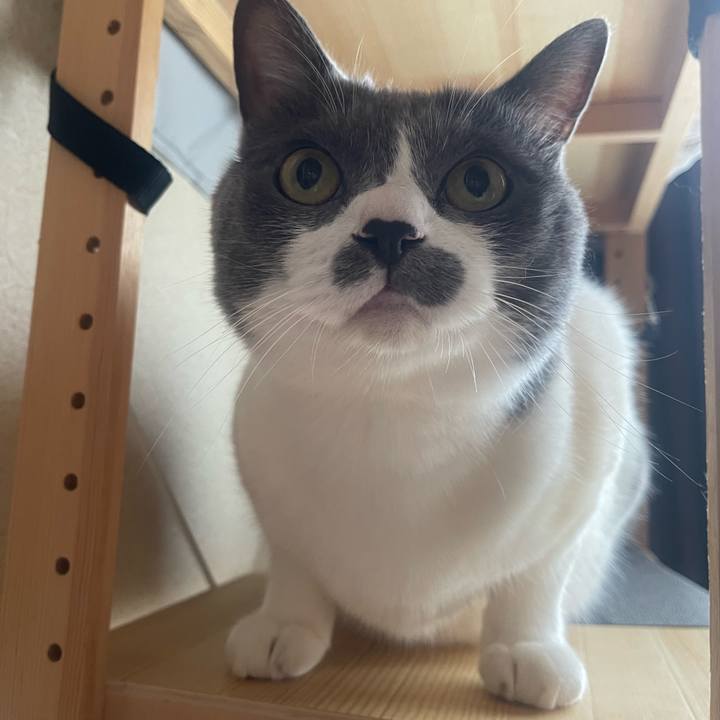 03035f65 9ab8 481a 9ede 7867b5529cb9 1753056609491