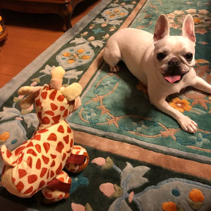 0303863d c5a1 48d0 9023 2722d257abdc 1538820268716