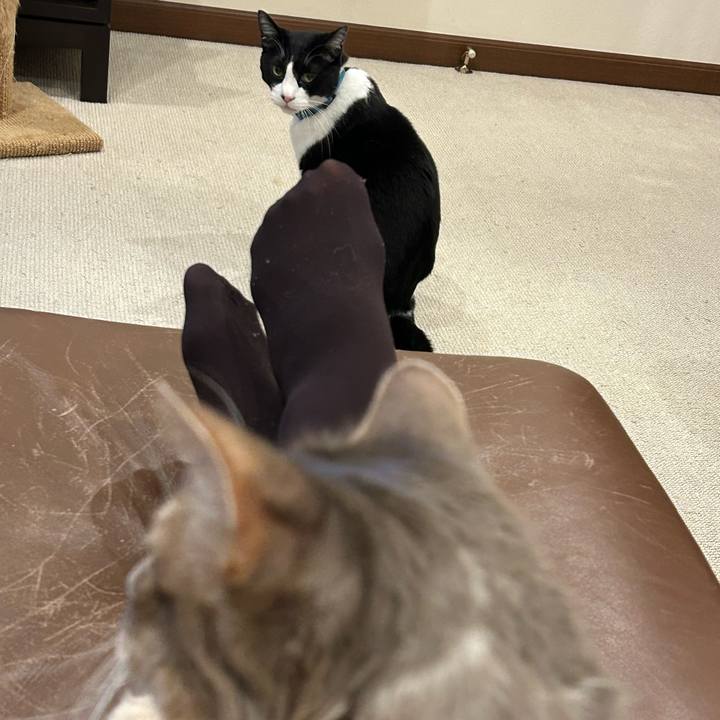 0303dcf7 f8e4 46ac 8491 6ee563eca7da 1775045329804