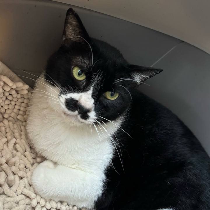 0304078f f890 4c6a 9703 ef1326721daf 1718338308878