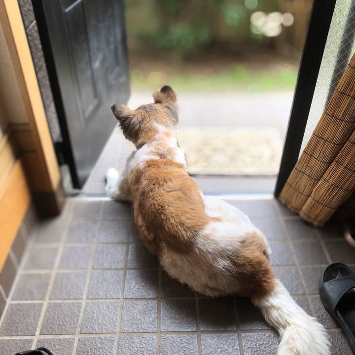 03045394 a91a 4721 90f3 4d8a8097ba91 1583457525973