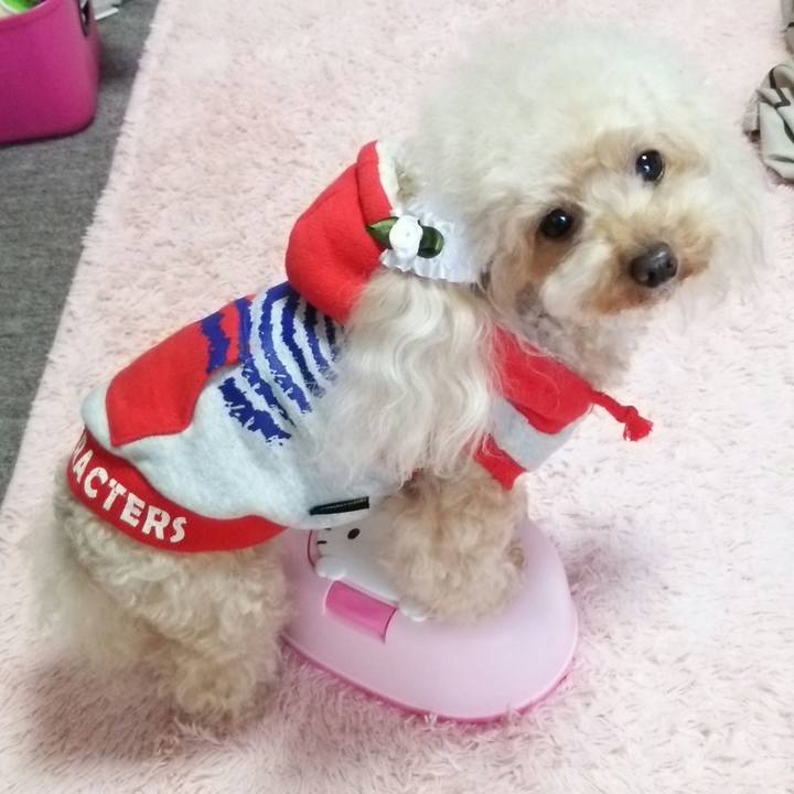 03049748 c38a 482a ba71 ddfe3859e1eb 1544778155640