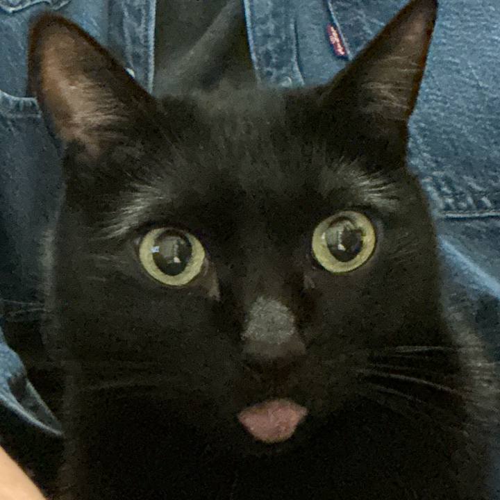 0305154b dd75 4e18 951b 47e6a0e05bbe 1770725391667