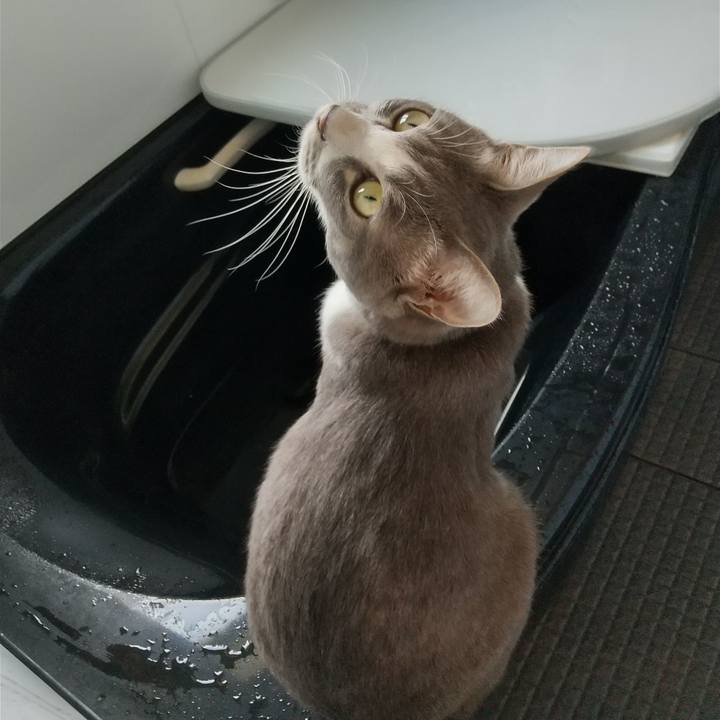 03052eff d715 45e0 aa0e 405636230b30 1620043468017