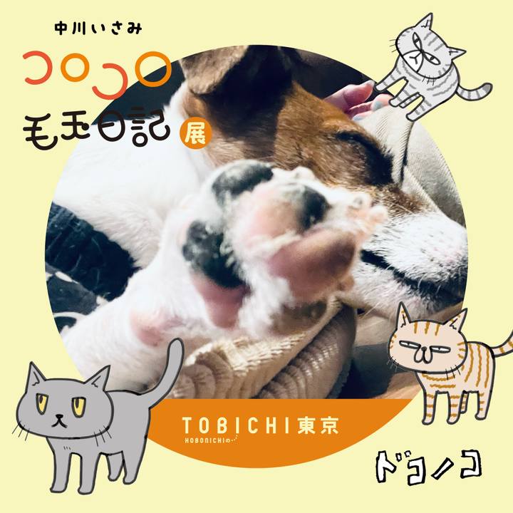 0305dbbc b337 484c 9fca fff43a02bada 1740230790066