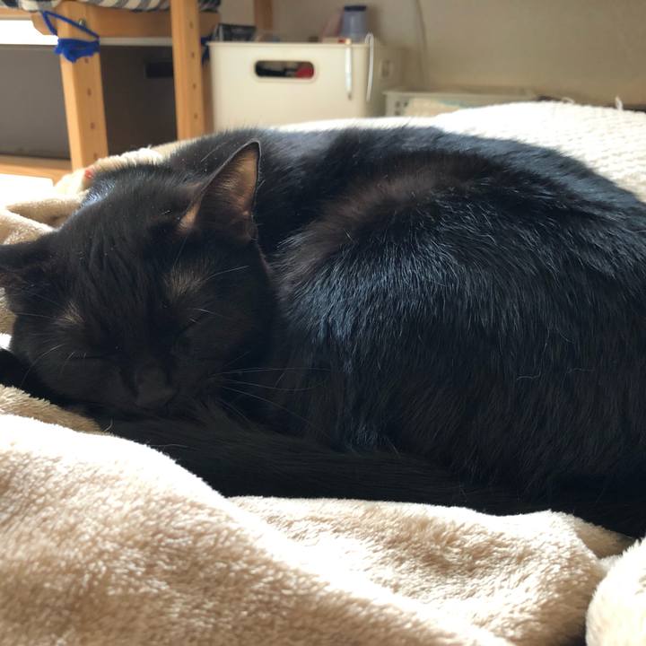 0306389f 8615 4fef bfdf 5e332a2a82a7 1542445678277