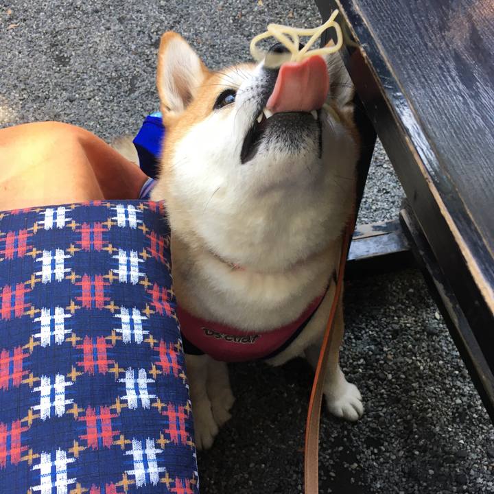 03063b4e 0b8f 4166 85d9 78db325ed215 1573198639482