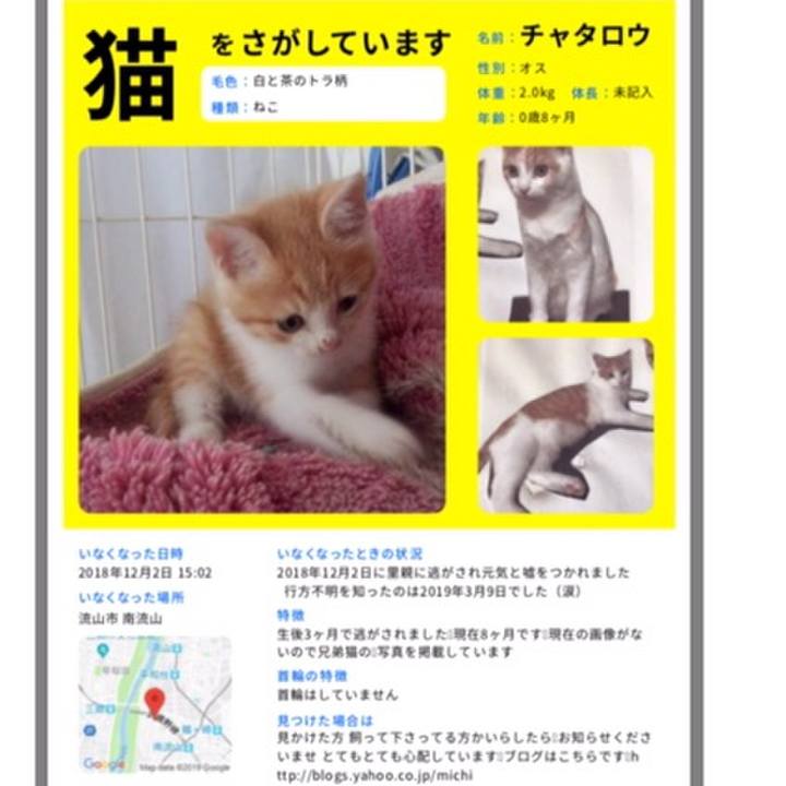 03063f5e 1e38 41a3 aacf b9638e511920 1558645835666