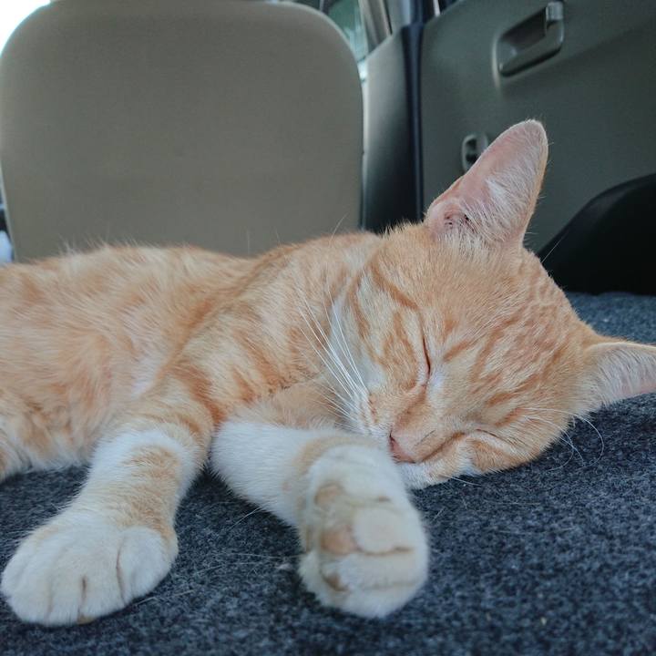 030647f9 dc59 4954 9954 89612db6c1c6 1561541996061