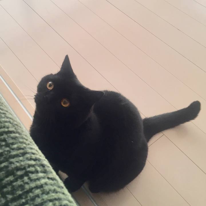 0306899d 55b0 442f a56c 6e02ff937fbd 1564875798026