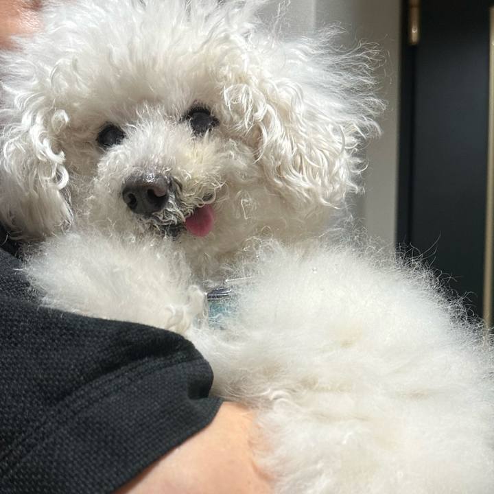 03068fe6 2ec6 40cb 8b0a 46701e4cd0d3 1695648160607