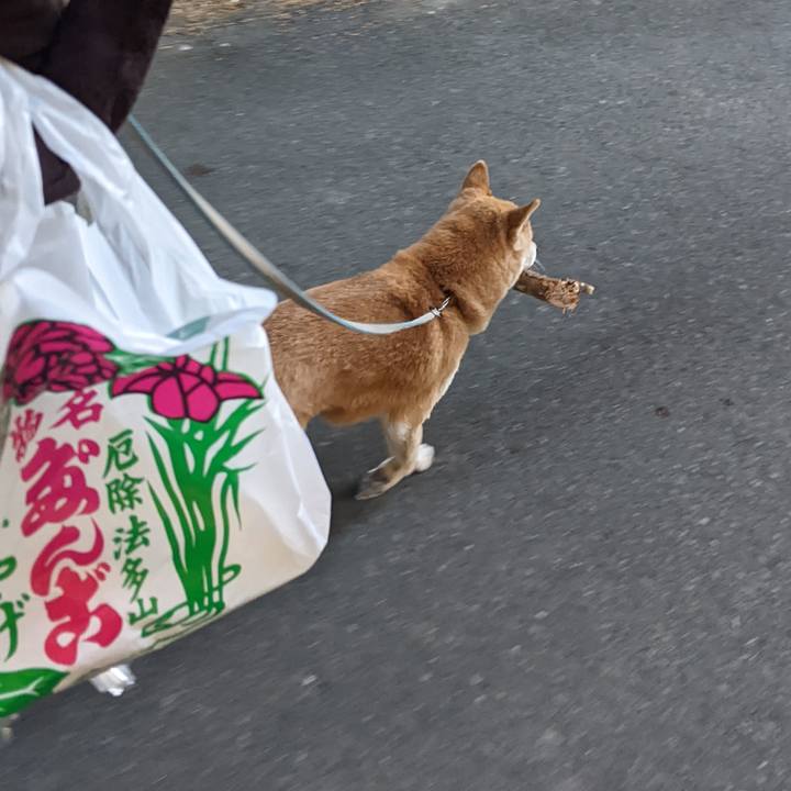 0306bf85 c666 4b57 bc4b f86d2c52ad27 1735458744500