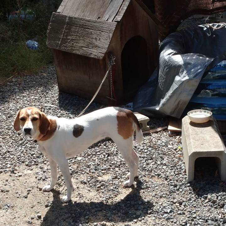 0306f8c4 c909 45d6 b3c0 800552afc810 1601970599130