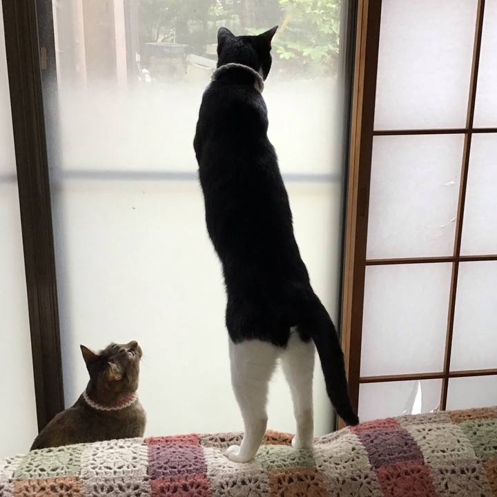 0306fb28 5e1e 4fd9 b445 70140158a5cf 1655170809689