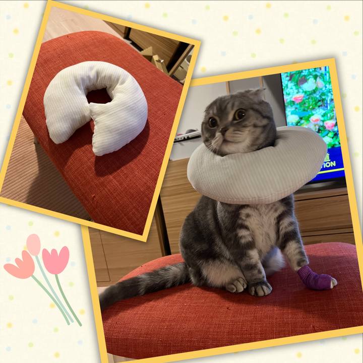 0306fc91 9da0 4ee5 b49b fa3aa3f64449 1652338443336