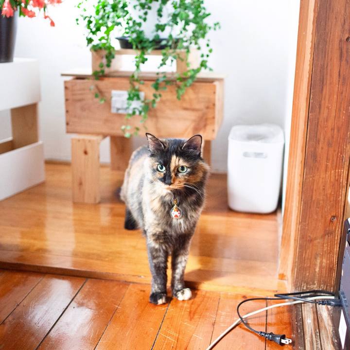 030702de bae0 4fe8 ba7d 561e3317ebe4 1581737768783