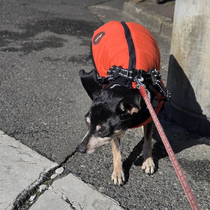 03072ec0 af78 49ef 91ad 0ea7b18f2e8b 1770598940997