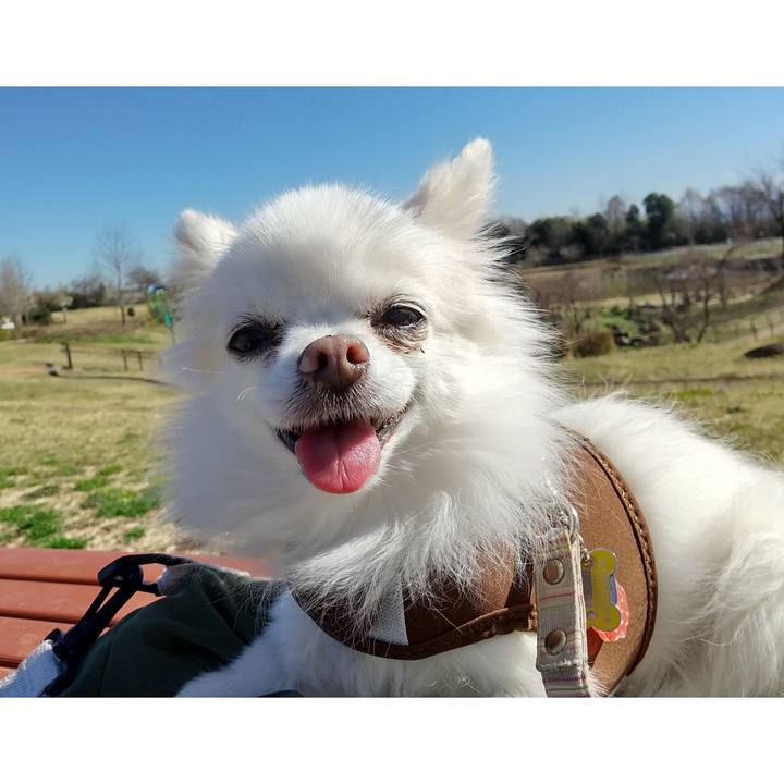 03073fe2 883b 4868 be64 02f55de4dac9 1679215812413