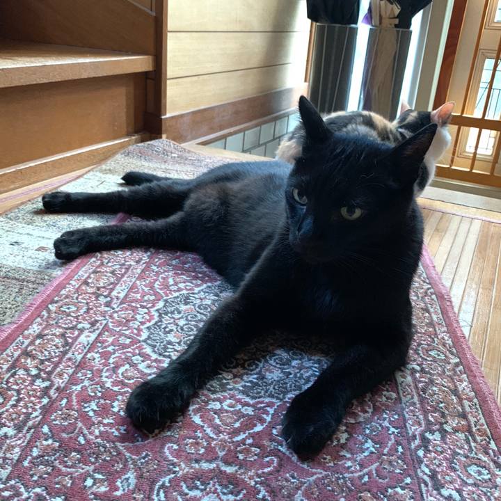 030747f2 f01c 4e26 9d2d 9a6c316ca7a6 1567211034866