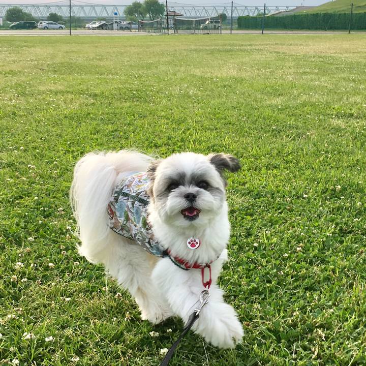 03075001 7e37 4991 b471 9e4e79aeb9a2 1526125926765