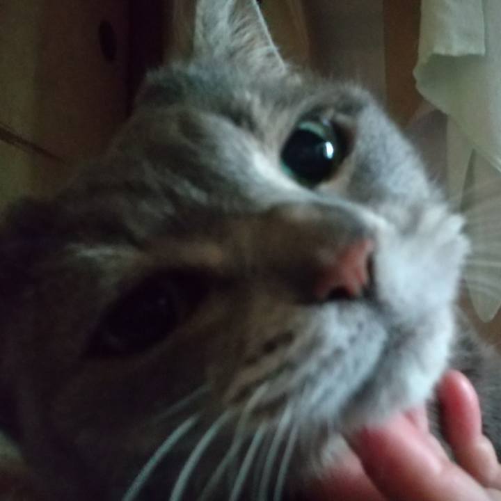 0307813a 3d01 433a 8e16 eacdf5728e81 1623016364754