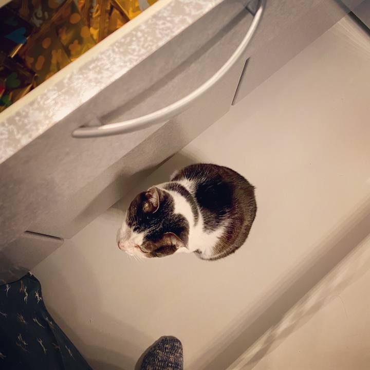 0307d8be efa6 44fa a908 1b638484b0b4 1585846323805