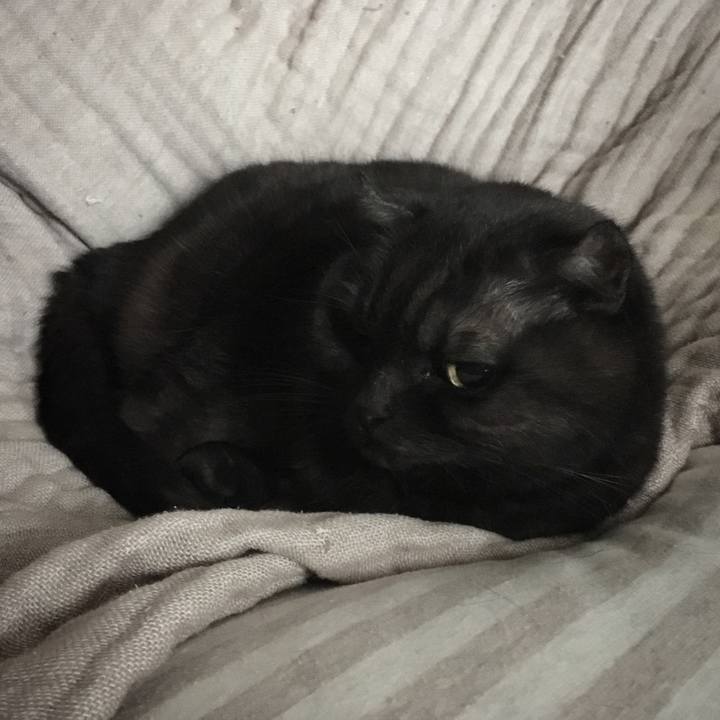 0307e473 1e33 4c5c a3cf e3256a3831dc 1545882406218