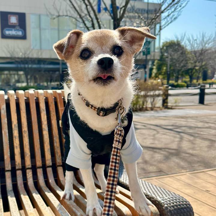 03083ed1 9bc0 4bc3 9ebf b175dbd467db 1677135006570