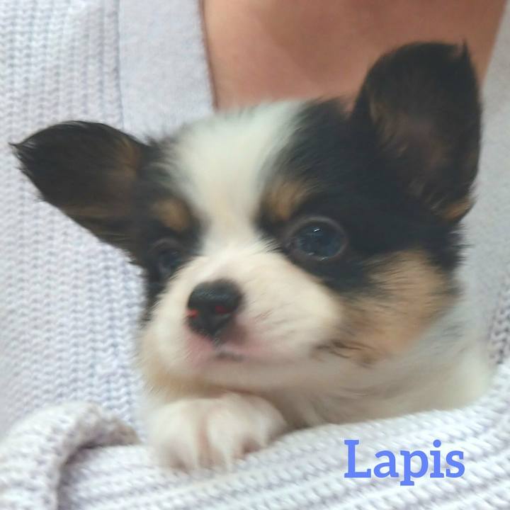 03084e3d 36e0 4d97 a701 6ddd7c8c3bfb 1593346507713