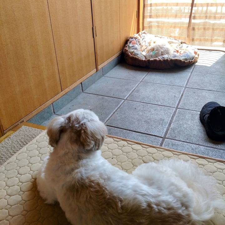 03088949 a4b7 491f 890f f8fd5e13d939 1749278051610