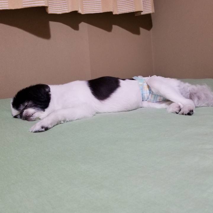 030896d0 dd89 4bc8 9981 c0926877c815 1594212951513