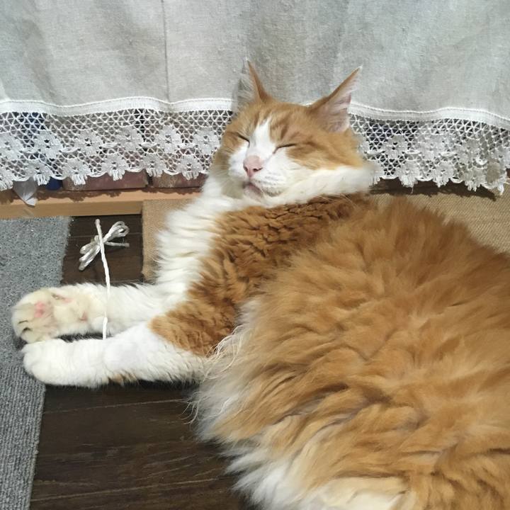 0308f1a9 7766 4cd9 9d25 4a735093678b 1631450744244