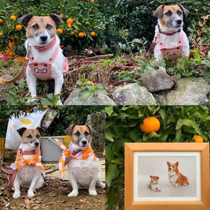 03091b14 6819 4af5 963b 0b1c4f000fb4 1607781245795