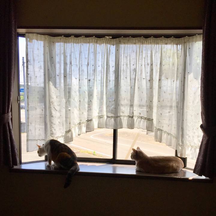 0309425e 5f7c 46e9 93f0 c285fb507b0d 1654569543313