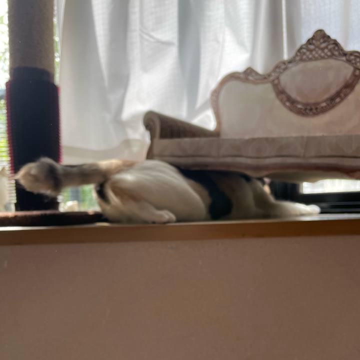 03095e5d 48cd 472a be04 862bdc380f26 1683328803043