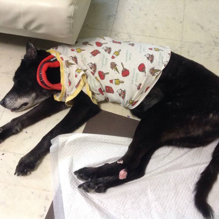 03096166 8e76 4fdb b101 37d88f982f97 1515391940333