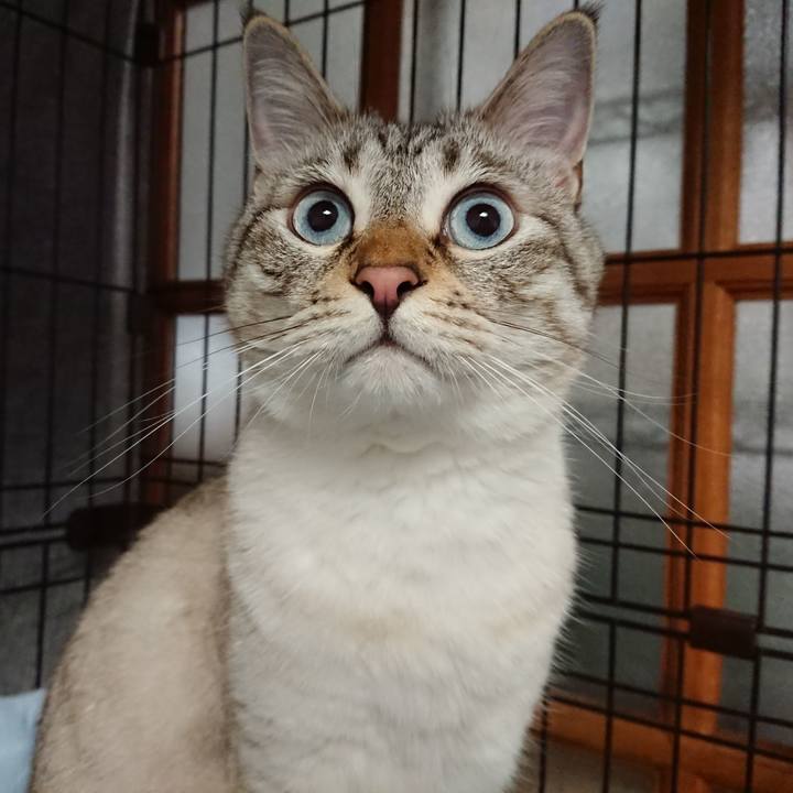 0309817b 2fd0 4fda 91a4 30a3cc4b4891 1561807460361