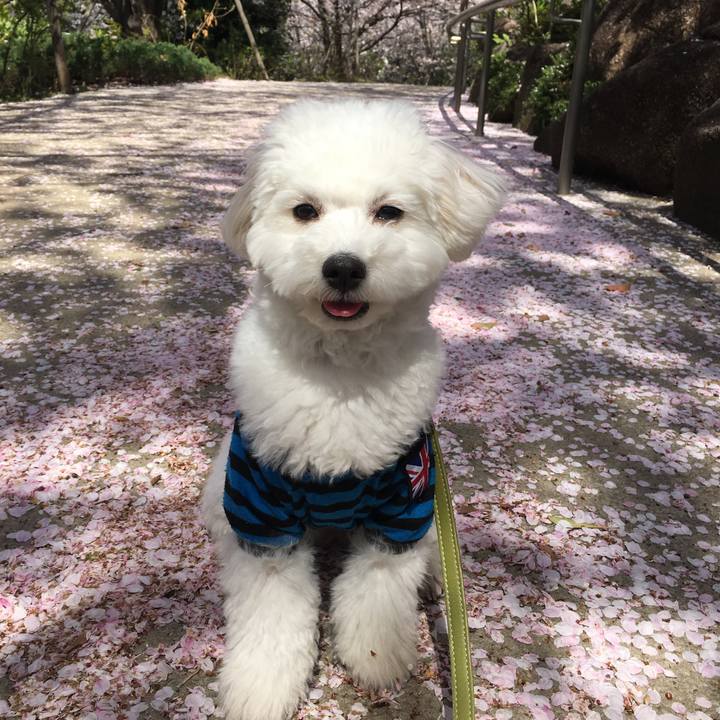 030989cc a342 4e71 abb2 60d09cfc2227 1522415671520