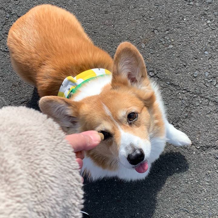 03098aff 94fd 4c77 98be 45d3f207c77d 1707016211580