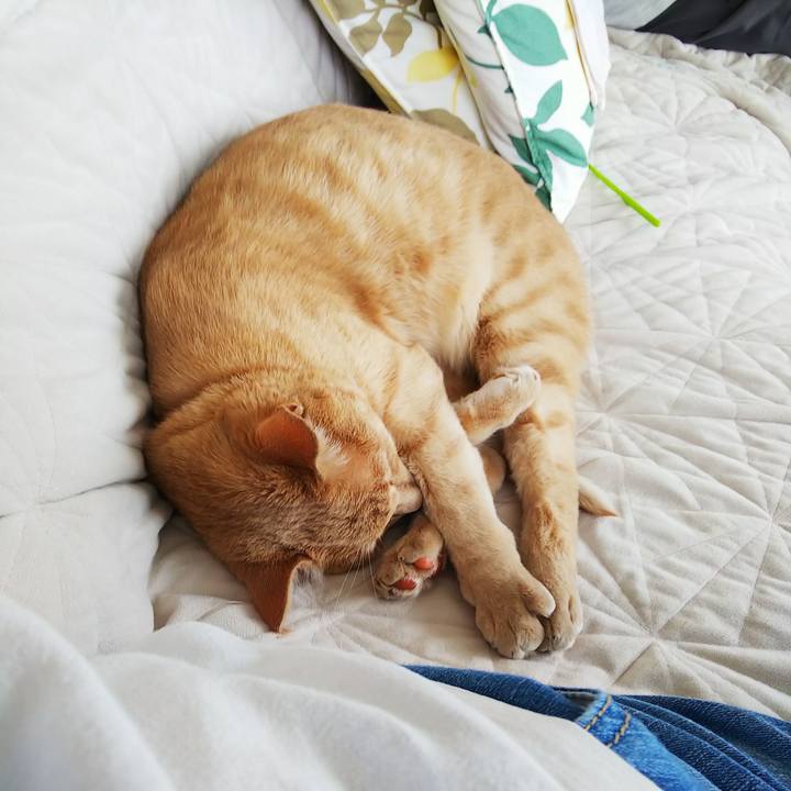 0309c876 c091 4044 b184 eb2080b032e5 1594508052128