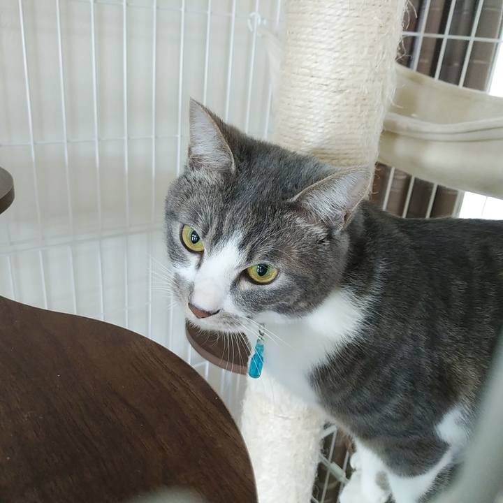 0309d668 a3f2 497f 9789 37500b337a67 1585350479666